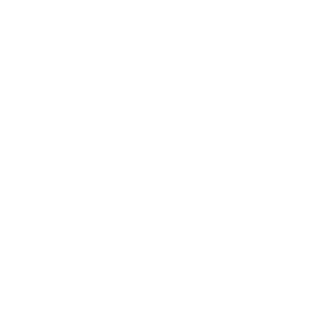 Fortescue Metals Group logo