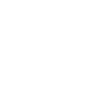 fingerprint300x300