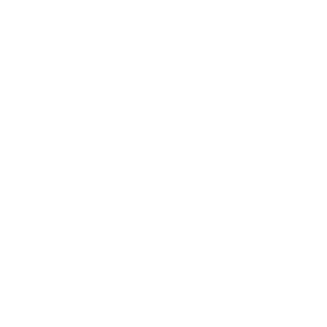 fingerprint IT