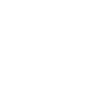 flightsafety IT