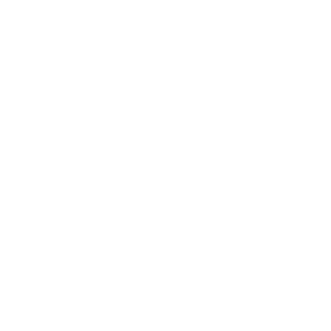 mayer brown IT