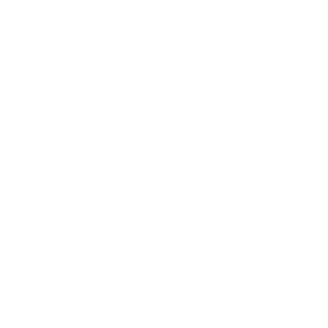 mgm IT