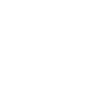 numerix IT